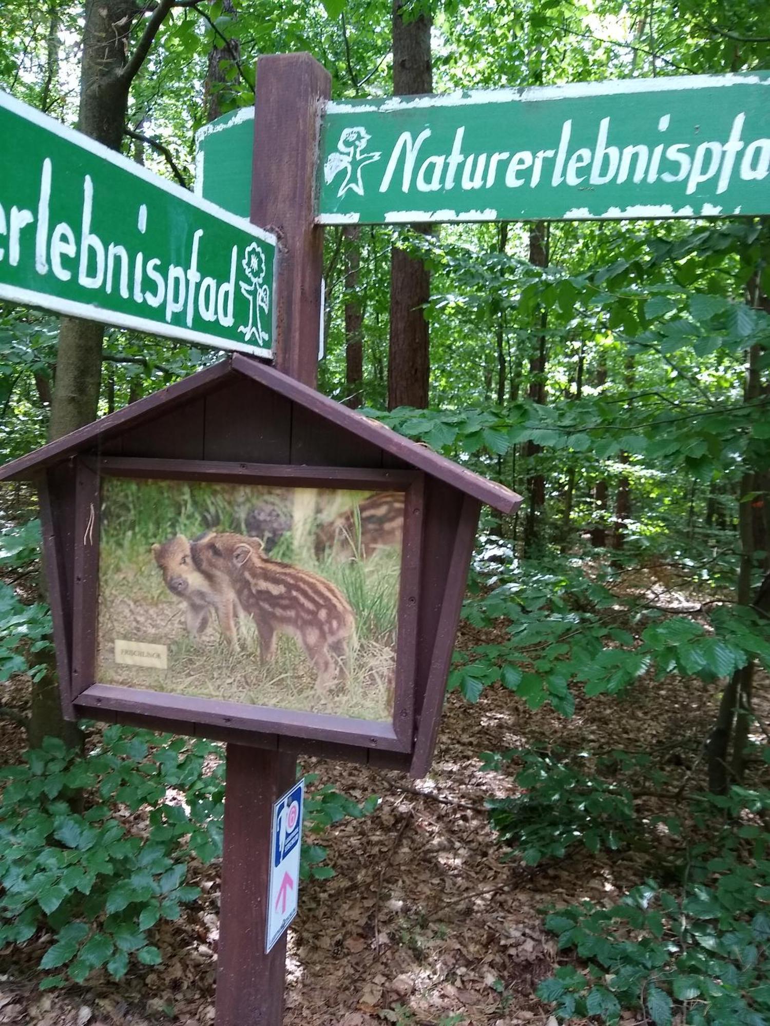 Zwei Seen Ferienhaus Canow エクステリア 写真